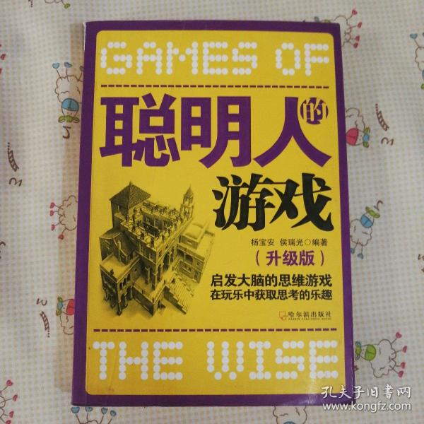 聪明人的游戏：启发大脑的思维游戏在玩乐中获取思考的乐趣