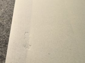 民国老笺：荣宝斋玉版竹纸暗印画笺10张（纸张自然陈旧，润墨好，非常适合绘画）