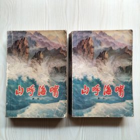 山呼海啸（上下册全）
