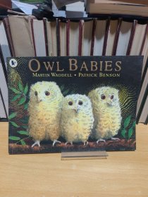 Owl Babies英文原版兒童繪本 9780744531671