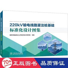 220kV输电线路灌注桩基础标准化设计图集