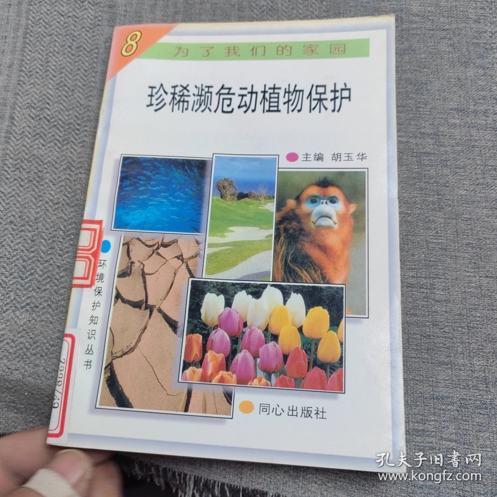珍惜濒危动植物保护