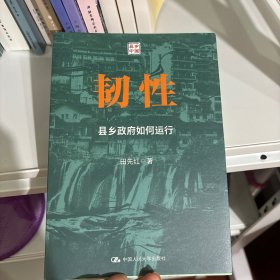 韧性：县乡政府如何运行
