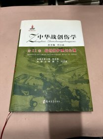 中华战创伤学·第11卷：战创伤护理与心理