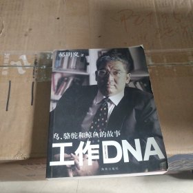 工作DNA