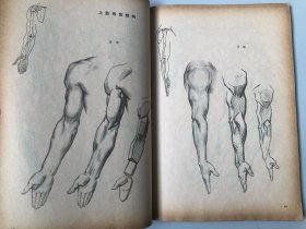 浙江美术学院编撰教材 人体结构书籍