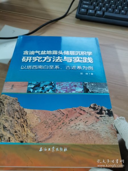 含油气盆地露头储层沉积学研究方法与实践——以塔西南白垩系、古近系为例