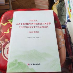 生态文明建设（贯彻落实习近平新时代中国特色社会主义思想在改革发展稳定中攻坚克难案例）