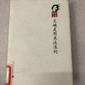 灵魂是用来流浪的 精装