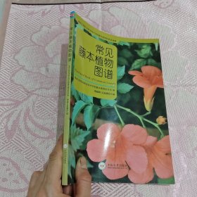 常见藤本植物图谱