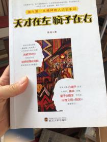 天才在左 疯子在右：国内第一本精神病人访谈手记