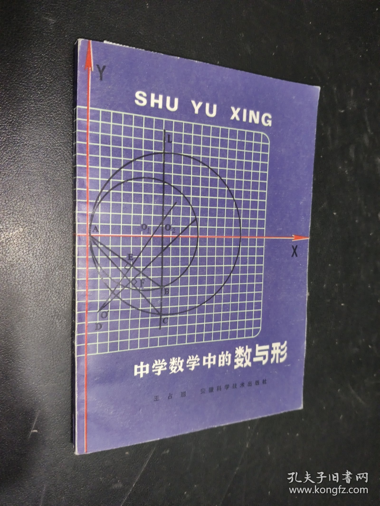 中学数学中的数与形