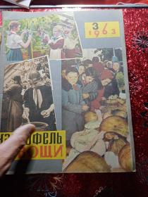 马铃薯蔬菜，1963年1到12期全，俄文版  农业大学  新疆八一农学院  李国正