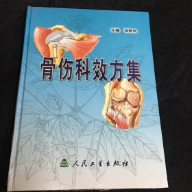 骨伤科效方集