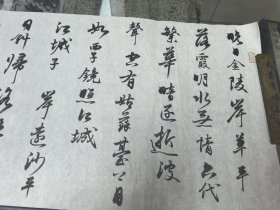 当代知名女青年书法家、画家，中国书法家协会会员, 梅丽君 尺寸186/33厘米 7