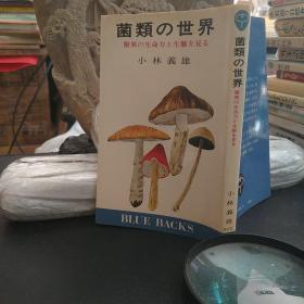 菌类的世界 惊奇的生命力和生态。日本原版图书。罕见珍贵。日本图书。日本早期图书。日文原版。日本历史性文献实物。