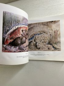 William Blake’s Divine Comedy Illustrations 《威廉·布莱克〈神曲〉插画集》 ，书中包含102幅全彩插画（102 Full - Color Plates ），由多佛出版公司（DOVER PUBLICATIONS, INC)威廉·布莱克是英国著名诗人、画家，这里呈现的是他为但丁《神曲》创作的插画相关内容 。