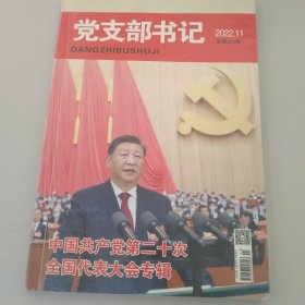 党支部书记