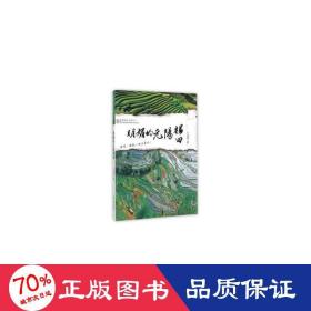 明媚的元陽梯田 旅游 王成林