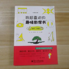 我引领数学风暴：超喜欢的趣味数学书（初中2年级）