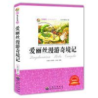 少：爱丽丝漫游奇境记《少》编委会　编