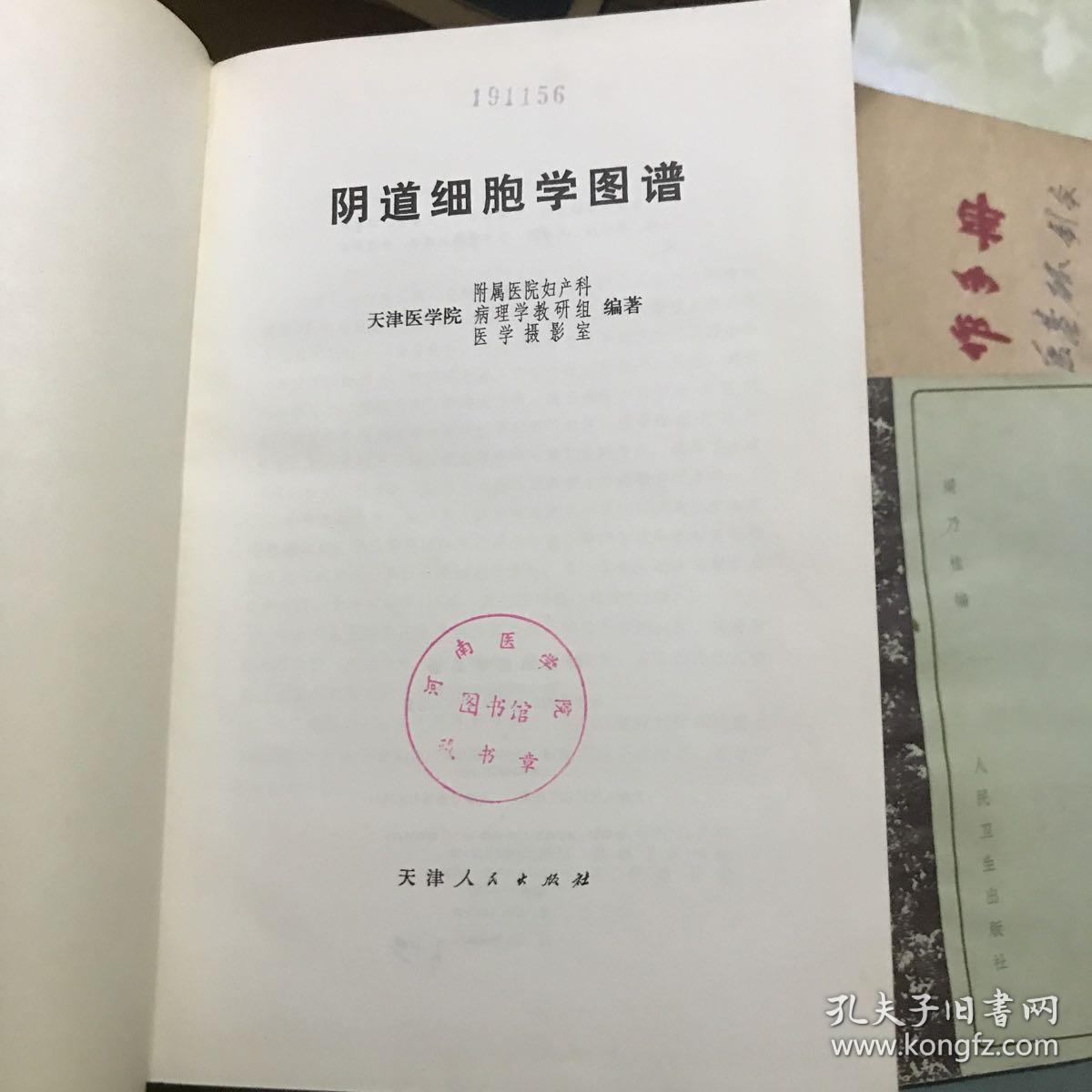 阴道细胞学图谱