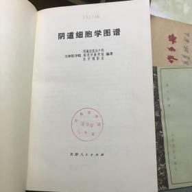 阴道细胞学图谱