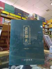 瓷影凝光：鼎鼎盛艺术馆藏历代瓷器精品图集