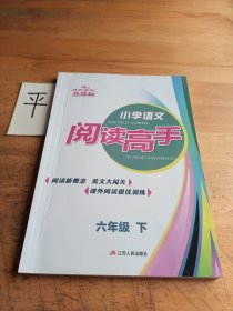 小学生语文阅读高手 六年级 下册