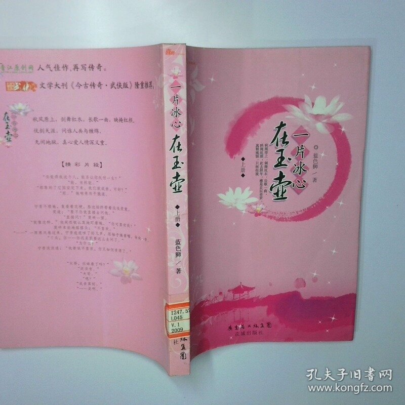 一片冰心在玉壶上 二手书实拍图