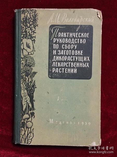 野生药用植物搜集实用指南【俄文版】内页彩色图片