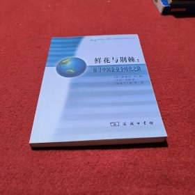 鲜花与荆棘：探寻中国企业全球化之路