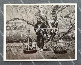 1920年代 东北地区盛开的梨树前笑容灿烂的农夫及扁担里的孩童 风俗画片一枚