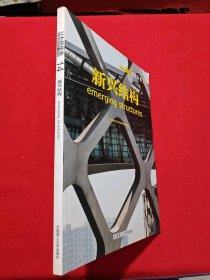 日本新建筑14：新兴结构