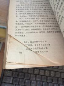 我的夏娃