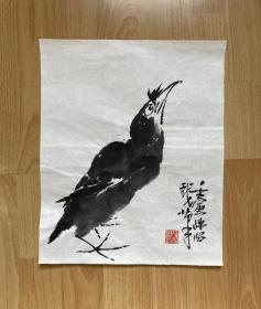 天津美院教师、陈昭博士精彩小品《八哥》【34.5*28CM、软片，裱后墨味、效果极佳！】