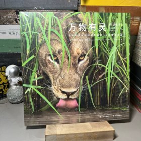 万物有灵：国际野生生物摄影年赛第54届获奖作品