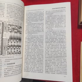 2024中国国际油气勘探技术年会论文集