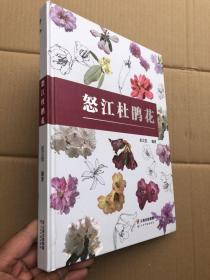 《怒江杜鹃花》精装本  铜版纸彩印  图文并茂  全新品相   定价290元“”