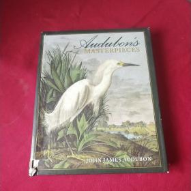 Audubons Masterpieces 奥杜邦著作《美洲鸟类》画谱