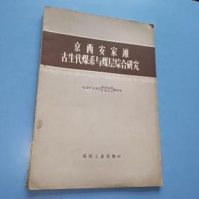 京万业安家滩古生代煤系与煤层综合研究