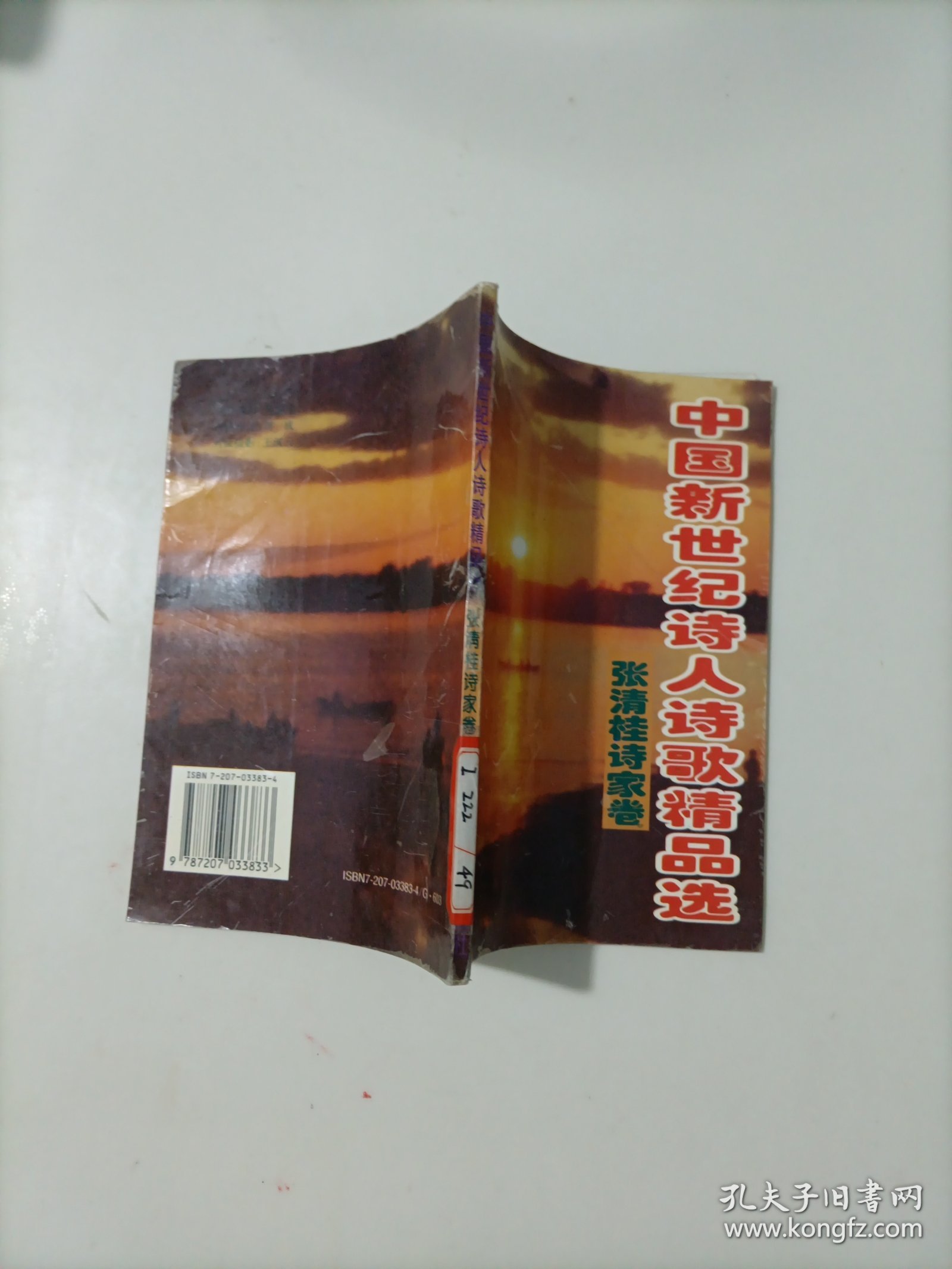 中国新世纪诗人诗歌精品选（一版一印）