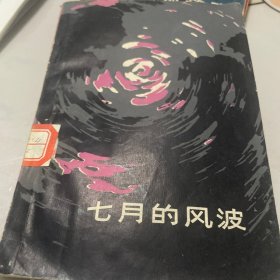 七月的风波