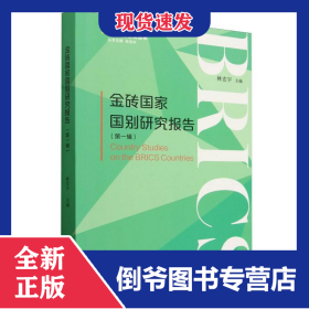 金砖国家国别研究报告.第一辑