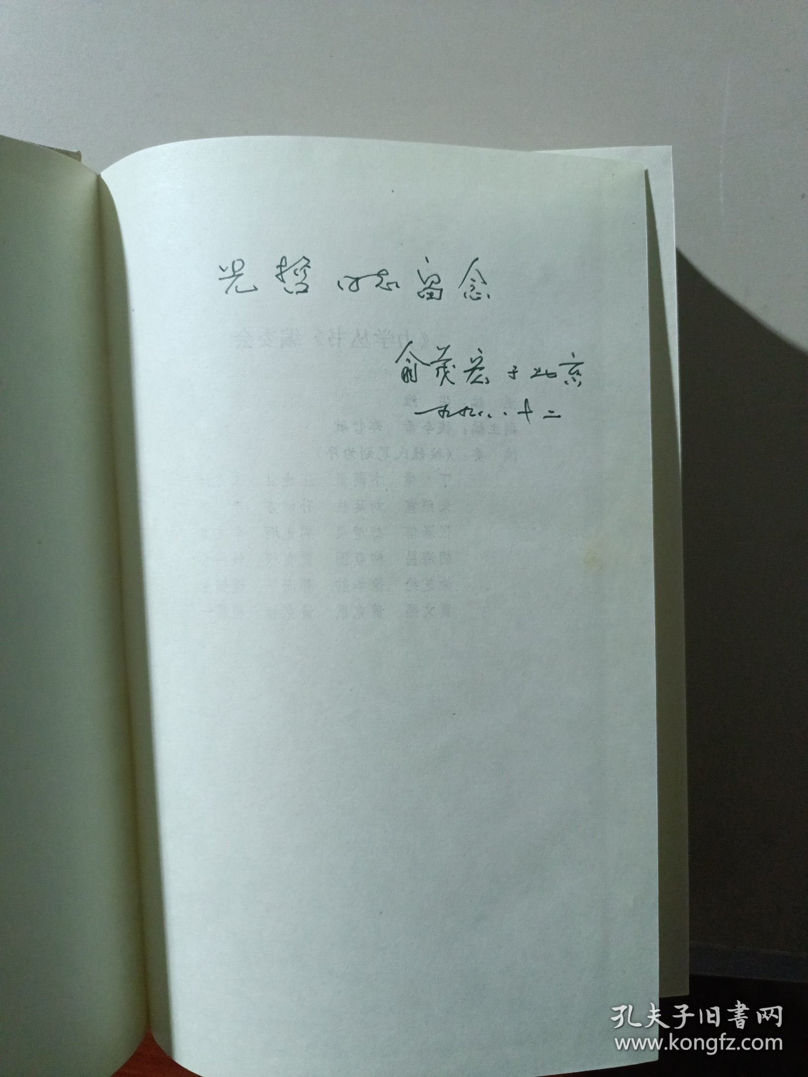 力学丛书：双剪理论及其应用