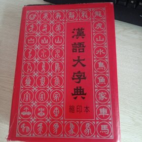 汉语大字典(缩印本)