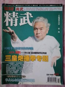 精武 2006.3 三皇炮捶拳专题