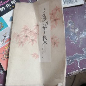 远望集