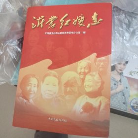 沂蒙红嫂志
