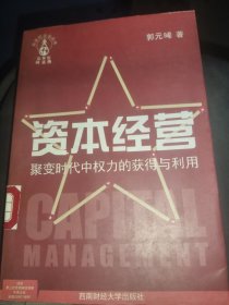 资本经营:聚变时代中权力的获得与利用